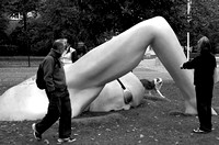 Art installation in Greenwich Park