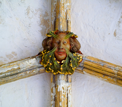Green man ceiling boss Norwich Cathedral