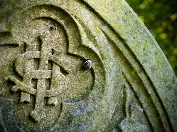 Headstone & snail